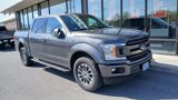 Used 2019 Ford F150 XLT w/ Equipment Group 302A Luxury image 2