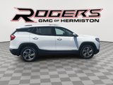 Used 2020 GMC Terrain SLT image 6