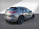 Used 2023 Alfa Romeo Stelvio Veloce image 6