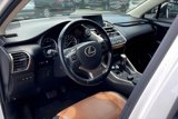 Used 2017 Lexus NX 200t FWD w/ Premium Package image 4