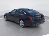 Certified 2023 Cadillac CT5 Luxury w/ Sun And Sound Package image 5
