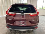 Used 2019 Honda CR-V EX-L image 6