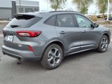 Used 2024 Ford Escape ST-Line w/ Cold Weather Package image 5