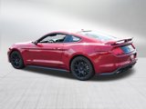 Used 2019 Ford Mustang Coupe w/ Ecoboost Performance Package image 5