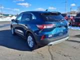 Used 2020 Ford Escape SE image 3