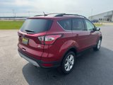 Used 2017 Ford Escape SE w/ SE Leather Comfort Package image 5