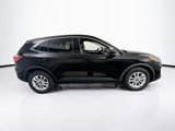 Used 2020 Ford Escape SE image 4