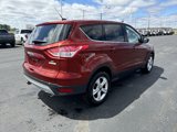 Used 2014 Ford Escape SE image 5