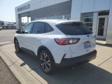 Certified 2022 Ford Escape SE w/ SE Sport Appearance Package image 3