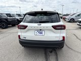 New 2025 Ford Escape ST-Line w/ Cold Weather Package image 4
