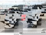 Used 2019 Ford F150 XLT w/ Equipment Group 302A Luxury image 5