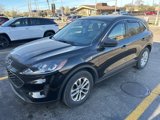 Used 2022 Ford Escape SE w/ Convenience Package image 3