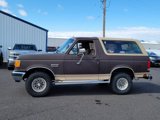 Used 1991 Ford Bronco Eddie Bauer image 2