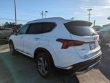 Used 2022 Hyundai Santa Fe SEL w/ Convenience Package image 6