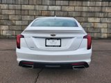 Used 2022 Cadillac CT5 Premium Luxury w/ Climate Package image 4