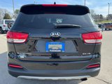 Used 2016 Kia Sorento EX w/ EX Premium Package image 4
