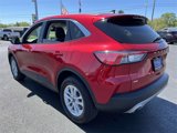 Used 2022 Ford Escape SE w/ Convenience Package image 5