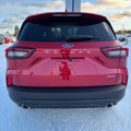 New 2025 Ford Escape ST-Line w/ Tech Pack #1 image 4