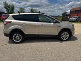 Used 2018 Ford Escape SE w/ SE Sync 3 Package image 6