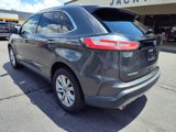 Used 2019 Ford Edge Titanium image 4