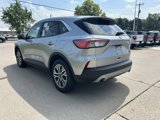 Used 2022 Ford Escape SEL image 6