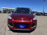 Used 2014 Ford Escape Titanium image 3