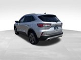 Used 2020 Ford Escape SEL image 3