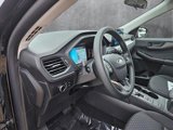 New 2025 Ford Escape Active image 3