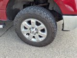 Used 2014 Ford F150 XLT w/ Equipment Group 302A Luxury image 4