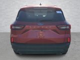 New 2025 Ford Escape ST-Line image 4