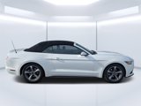 Used 2016 Ford Mustang Convertible w/ Equipment Group 051A image 2