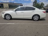 Used 2009 Honda Accord EX-L image 2