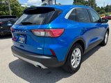 Used 2020 Ford Escape SE image 3
