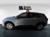 Used 2022 Ford Escape SE w/ Convenience Package image 6
