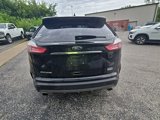 Used 2019 Ford Edge SEL w/ Cold Weather Package image 6
