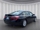 Used 2014 Honda Accord EX-L image 5