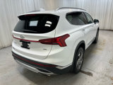 Used 2022 Hyundai Santa Fe SEL w/ Convenience + Premium Package image 6