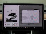 Used 2020 Tesla Model Y Performance image 4