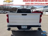 Used 2020 Chevrolet Silverado 1500 LT w/ All-Star Edition image 6