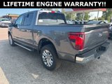New 2024 Ford F150 XLT w/ Equipment Group 303A High image 6