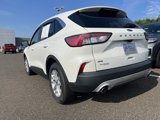Certified 2022 Ford Escape SE w/ Convenience Package image 4