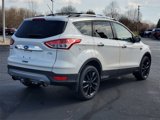 Used 2016 Ford Escape SE w/ SE Chrome Package image 5