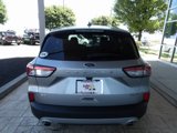 Used 2022 Ford Escape SE w/ Convenience Package image 6