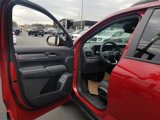 New 2025 GMC Terrain Elevation w/ Elevation Premium Package image 6