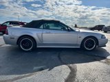 Used 2001 Ford Mustang GT image 2