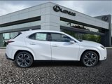New 2025 Lexus UX 300h AWD image 3