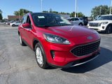 Used 2020 Ford Escape SE image 4