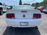 Used 2008 Ford Mustang GT Premium image 4