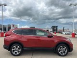 Used 2019 Honda CR-V EX image 3