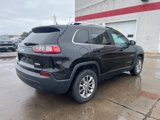 Used 2019 Jeep Cherokee Latitude Plus w/ Cold Weather Group image 2